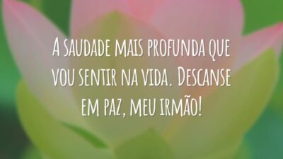A saudade mais profunda que vou sentir na vida. Descanse em paz, meu irmão!