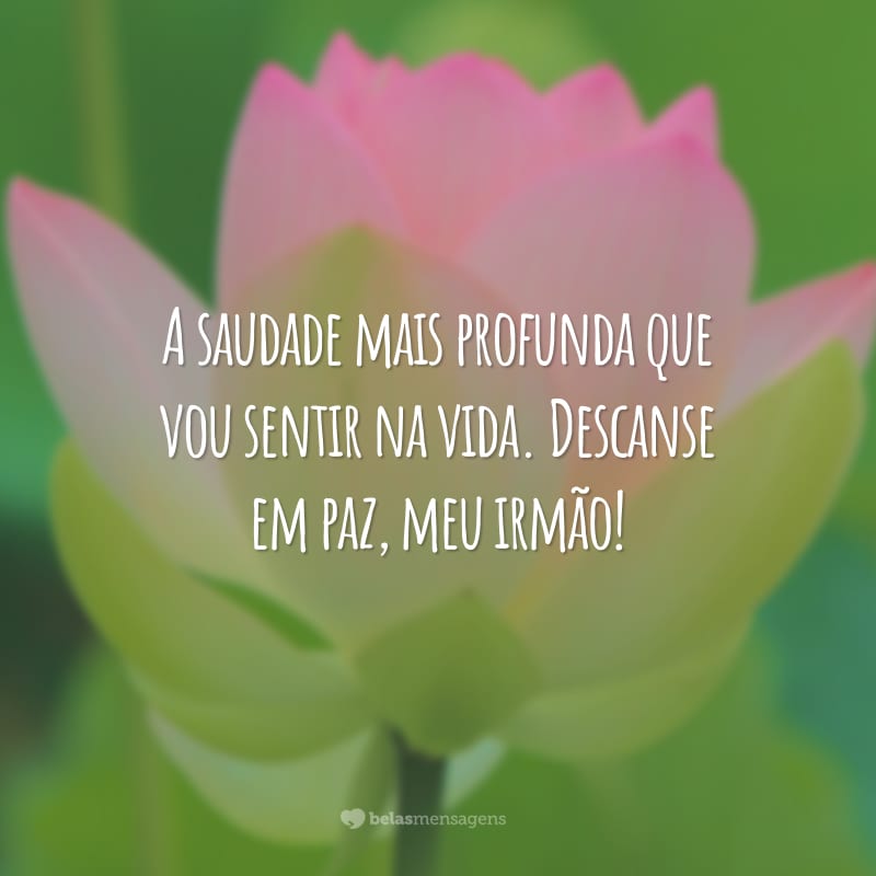 A saudade mais profunda que vou sentir na vida. Descanse em paz, meu irmão!