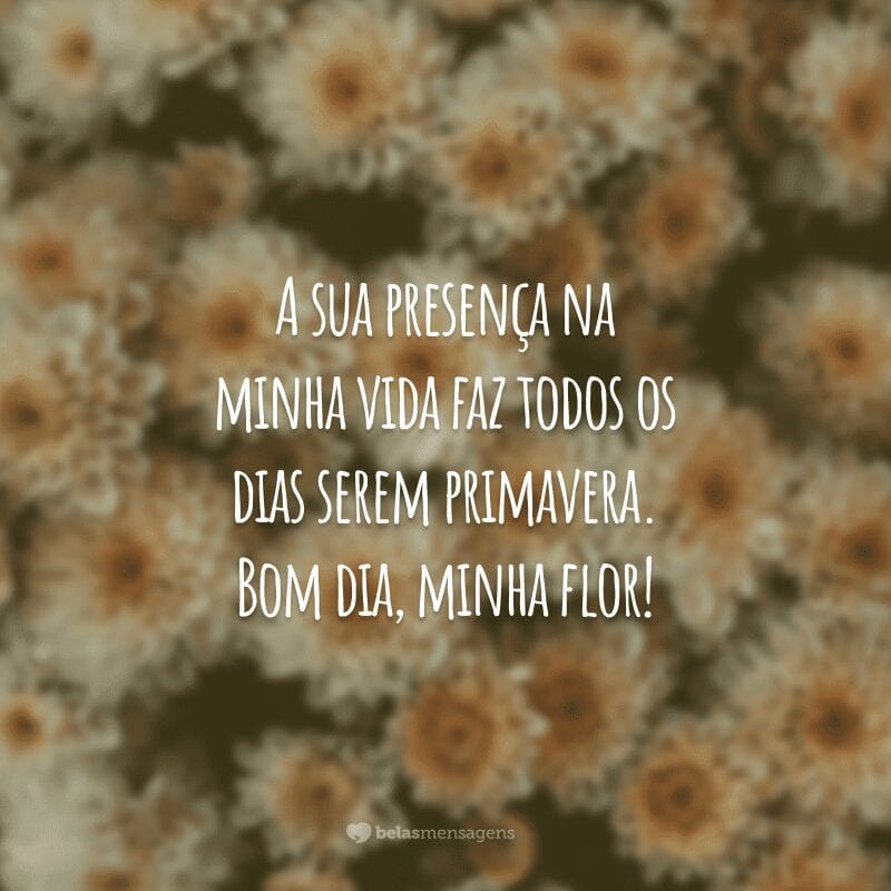 A sua presença na minha vida faz todos os dias serem primavera. Bom dia, minha flor!