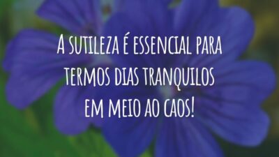 A sutileza é essencial para termos dias tranquilos em meio ao caos!