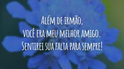 Além de irmão, você era meu melhor amigo. Sentirei sua falta para sempre!
