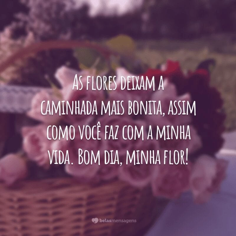 As flores deixam a caminhada mais bonita, assim como você faz com a minha vida. Bom dia, minha flor!