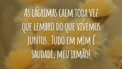 As lágrimas caem toda vez que lembro do que vivemos juntos. Tudo em mim é saudade, meu irmão!