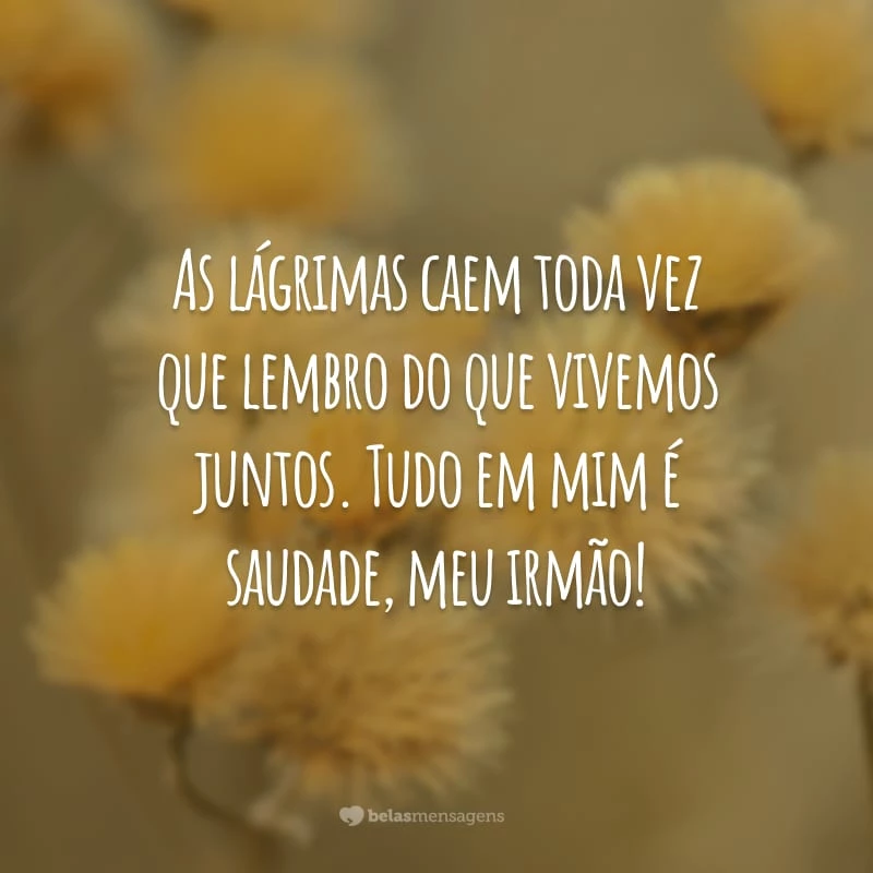 As lágrimas caem toda vez que lembro do que vivemos juntos. Tudo em mim é saudade, meu irmão!