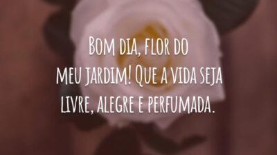 Bom dia, flor do meu jardim! Que a vida seja livre, alegre e perfumada.
