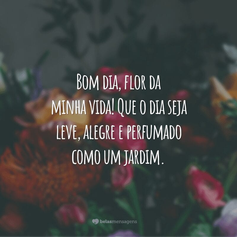 Bom dia, flor da minha vida! Que o dia seja leve, alegre e perfumado como um jardim.