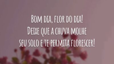 Bom dia, flor do dia! Deixe que a chuva molhe seu solo e te permita florescer!