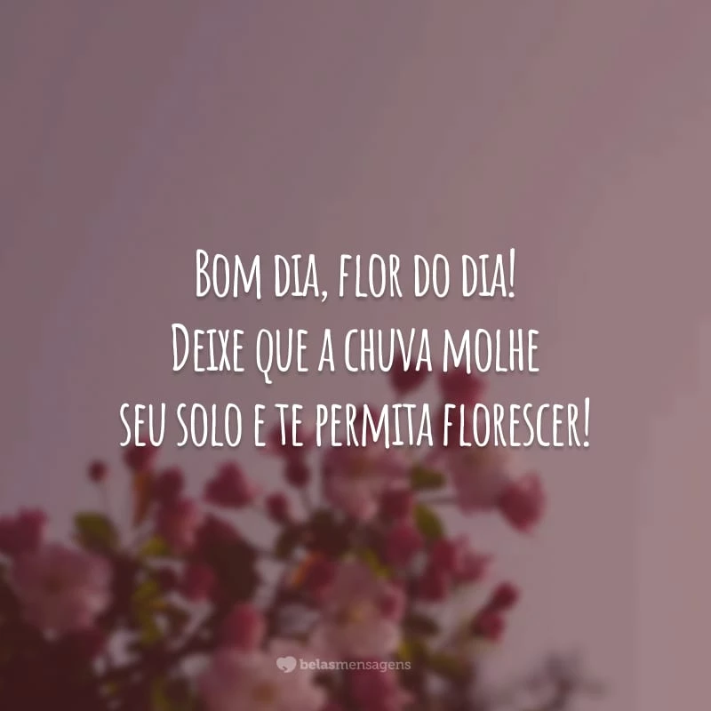 Bom dia, flor do dia! Deixe que a chuva molhe seu solo e te permita florescer!