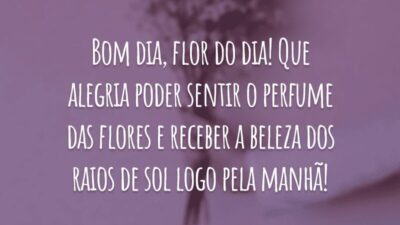 Bom dia, flor do dia! Que alegria poder sentir o perfume das flores e receber a beleza dos raios de sol logo pela manhã!