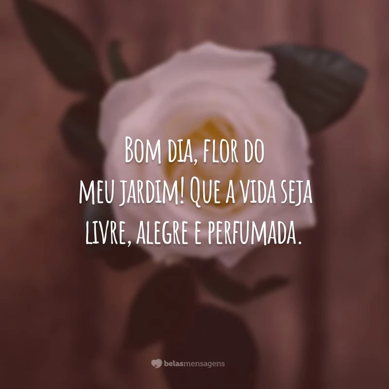 60 frases de bom dia com flores para uma manhã perfumada