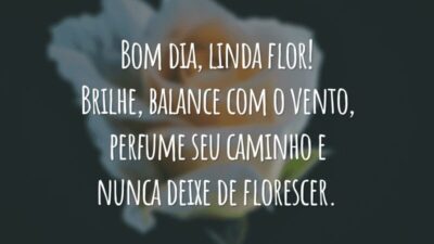 Bom dia, linda flor! Brilhe, balance com o vento, perfume seu caminho e nunca deixe de florescer.