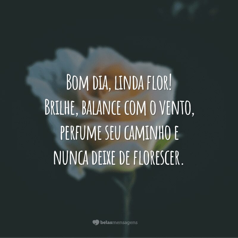 Bom dia, linda flor! Brilhe, balance com o vento, perfume seu caminho e nunca deixe de florescer.