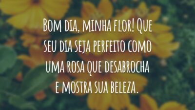 Bom dia, minha flor! Que seu dia seja perfeito como uma rosa que desabrocha e mostra sua beleza.