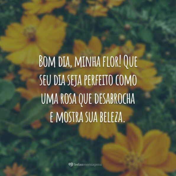 60 frases de bom dia com flores para uma manhã perfumada