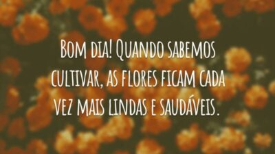 Bom dia! Quando sabemos cultivar, as flores ficam cada vez mais lindas e saudáveis.