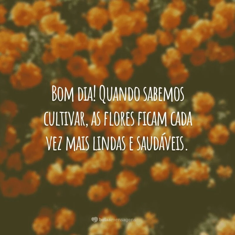 Bom dia! Quando sabemos cultivar, as flores ficam cada vez mais lindas e saudáveis.