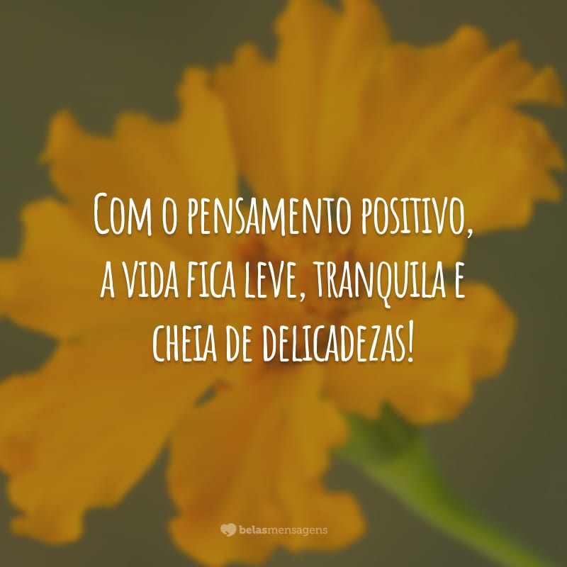 Com o pensamento positivo, a vida fica leve, tranquila e cheia de delicadezas!