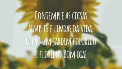 Contemple as coisas simples e lindas da vida, como um jardim colorido e florido. Bom dia!