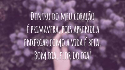 Dentro do meu coração é primavera, pois aprendi a enxergar como a vida é bela. Bom dia, flor do dia!
