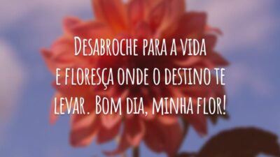 Desabroche para a vida e floresça onde o destino te levar. Bom dia, minha flor!