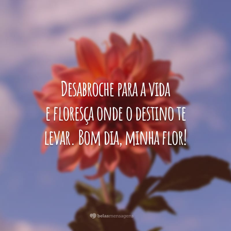 Desabroche para a vida e floresça onde o destino te levar. Bom dia, minha flor!