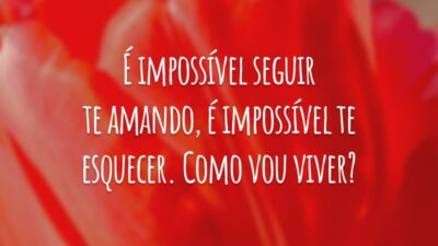 É impossível seguir te amando, é impossível te esquecer. Como vou viver?