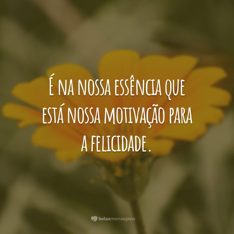 É na nossa essência que está nossa motivação para a felicidade.