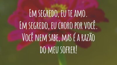Em segredo, eu te amo. Em segredo, eu choro por você. Você nem sabe, mas é a razão do meu sofrer!