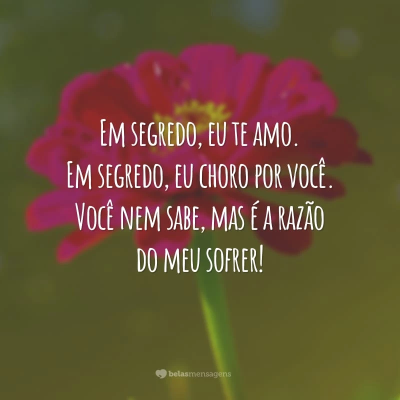 Em segredo, eu te amo. Em segredo, eu choro por você. Você nem sabe, mas é a razão do meu sofrer!