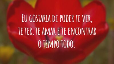 Eu gostaria de poder te ver, te ter, te amar e te encontrar o tempo todo.