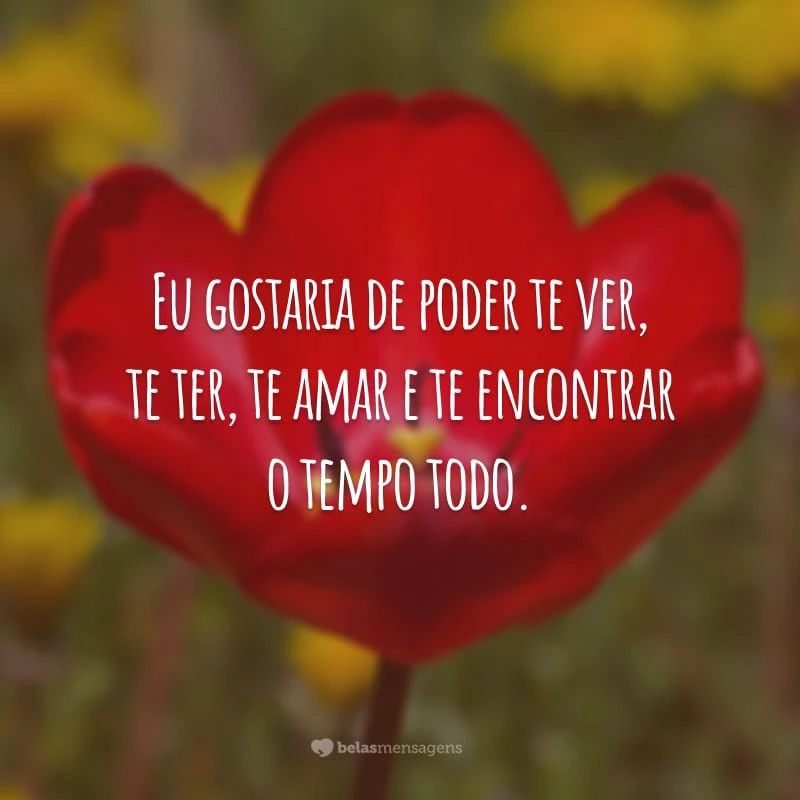 Eu gostaria de poder te ver, te ter, te amar e te encontrar o tempo todo.