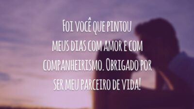 Foi você que pintou meus dias com amor e com companheirismo. Obrigado por ser meu parceiro de vida!