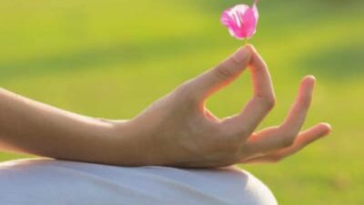 60 frases de paz para status que mostram que a vida pode ser mais leve