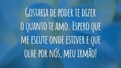 Gostaria de poder te dizer o quanto te amo. Espero que me escute onde estiver e que olhe por nós, meu irmão!
