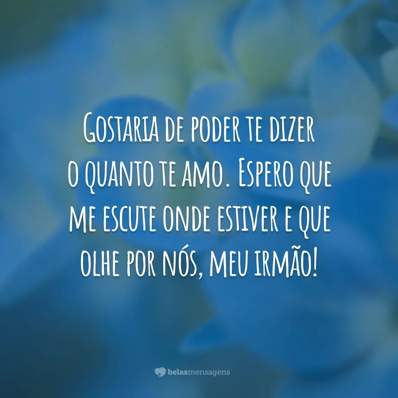 Gostaria de poder te dizer o quanto te amo. Espero que me escute onde estiver e que olhe por nós, meu irmão!