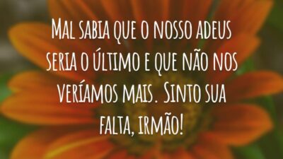 Mal sabia que o nosso adeus seria o último e que não nos veríamos mais. Sinto sua falta, irmão!