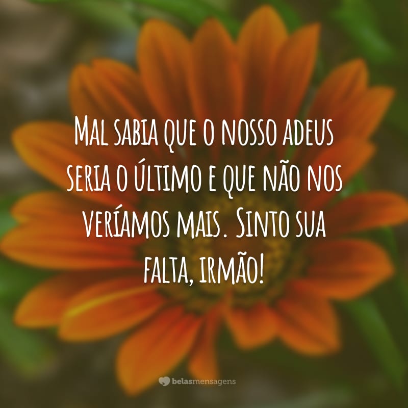 Mal sabia que o nosso adeus seria o último e que não nos veríamos mais. Sinto sua falta, irmão!