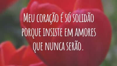 Meu coração é só solidão porque insiste em amores que nunca serão.