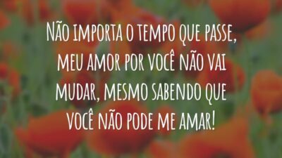 Não importa o tempo que passe, meu amor por você não vai mudar, mesmo sabendo que você não pode me amar!