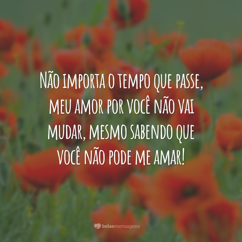 Não importa o tempo que passe, meu amor por você não vai mudar, mesmo sabendo que você não pode me amar!