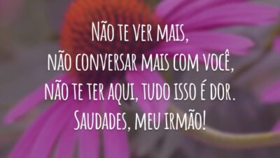 Não te ver mais, não conversar mais com você, não te ter aqui, tudo isso é dor. Saudades, meu irmão!