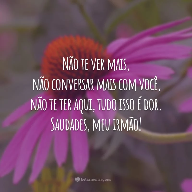 Não te ver mais, não conversar mais com você, não te ter aqui, tudo isso é dor. Saudades, meu irmão!