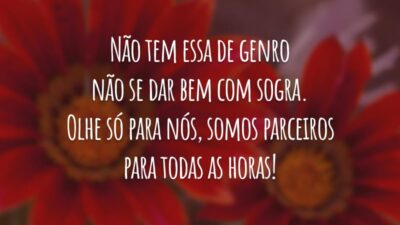 Não tem essa de genro não se dar bem com sogra. Olhe só para nós, somos parceiros para todas as horas!