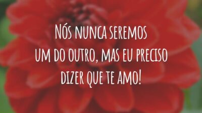 Nós nunca seremos um do outro, mas eu preciso dizer que te amo!