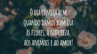 O dia começa bem quando damos bom dia às flores, à natureza, aos animais e ao amor!