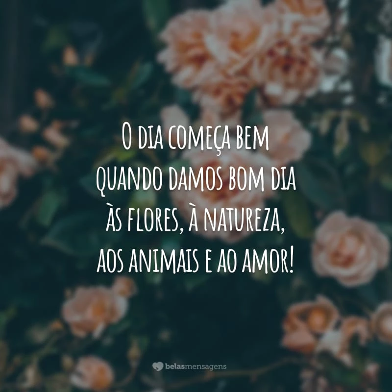 O dia começa bem quando damos bom dia às flores, à natureza, aos animais e ao amor!