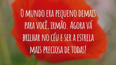 O mundo era pequeno demais para você, irmão. Agora vá brilhar no céu e ser a estrela mais preciosa de todas!