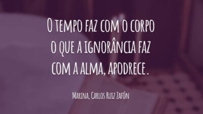 O tempo faz com o corpo o que a ignorância faz com a alma, apodrece.