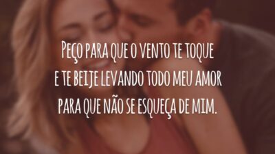 Peço para que o vento te toque e te beije levando todo meu amor para que não se esqueça de mim.