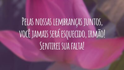 Pelas nossas lembranças juntos, você jamais será esquecido, irmão! Sentirei sua falta!